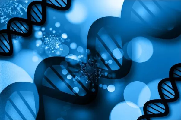 dna-7024971_1280