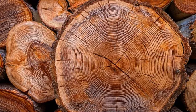 close up view of stacked cut wooden logs with visible tree rings and rough bark texture showing natural warm tones and patterns